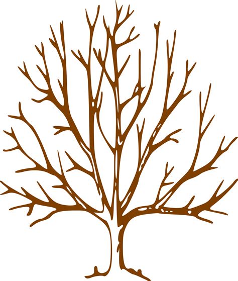 clipart tree branches|tree with bare branches clip art.